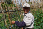 野菜作りの先生